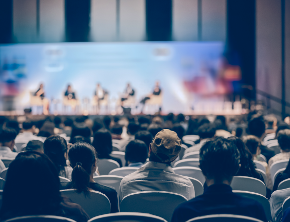 трансляция конференций